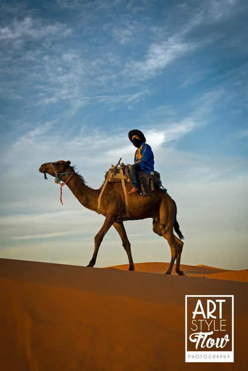 sahara, desert, morocco, camels
